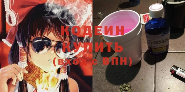 гашик Весьегонск